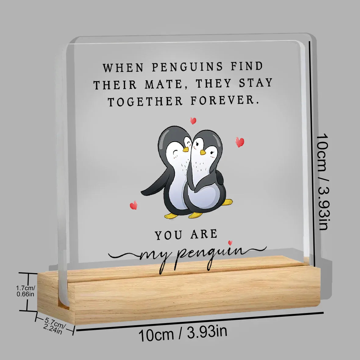 Penguin Gift For Partner ❤️